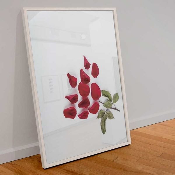 Flower petal art