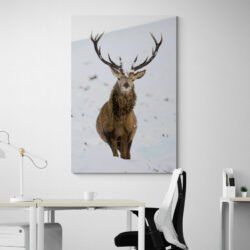 Deer painting dans la Neige