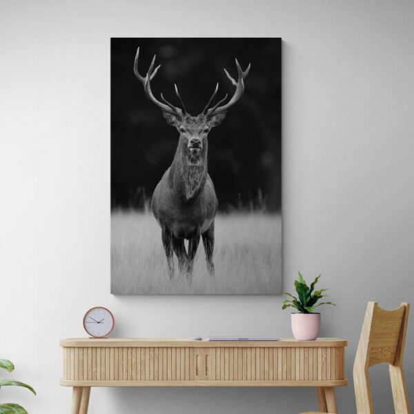 Deer painting Noir et Blanc