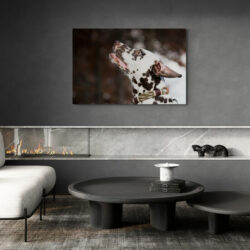 Tableau Dalmatien