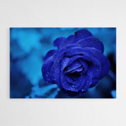 Tableau rose bleue