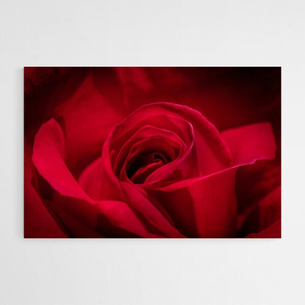 Tableau Rose Rouge