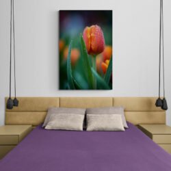 Tableau Tulipe Moderne