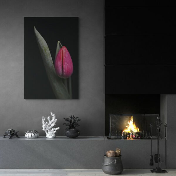 Tableau Tulipe Rouge