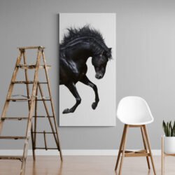 Tableau Deco Cheval Contemporain.jpg