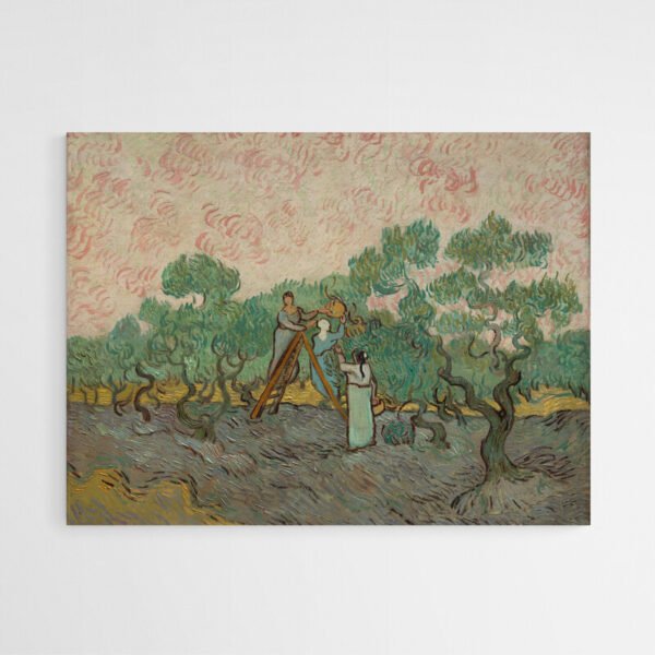 Tableau Femme Cueillant des Olives Van Gogh.jpg