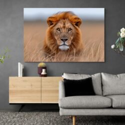 Tableau Lion Savane mur sombre.jpg