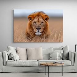 Tableau Lion Savane salon.jpg