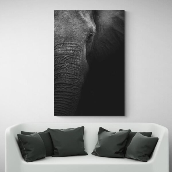 Tableau Photo elephant canape blanc.jpg