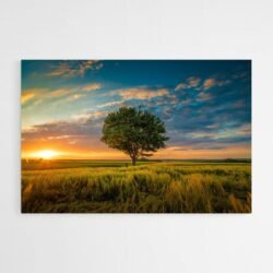 Tableau deco arbre coucher de soleil.jpg