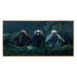 Tableau sur toile les 3 singes.jpg