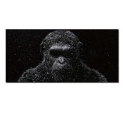 Tableau sur toile planete des singes.jpg