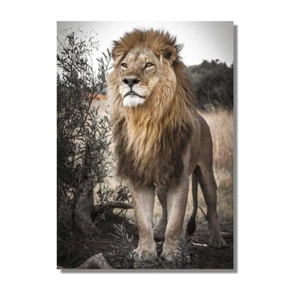 Toile lion sauvage.jpg