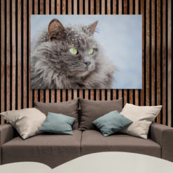 tableau chat neige salon.jpg