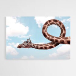 tableau girafe drole mur blanc.jpg