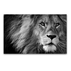 tableau sur toile lion noir.jpg