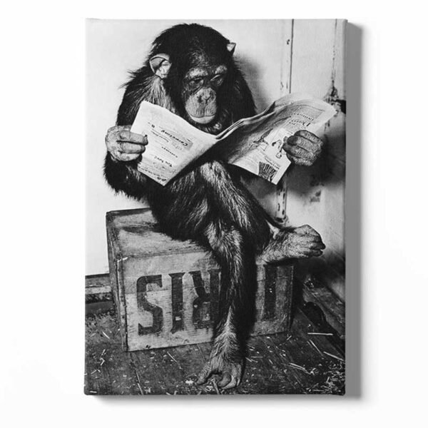 tableau sur toile singe drole.jpg